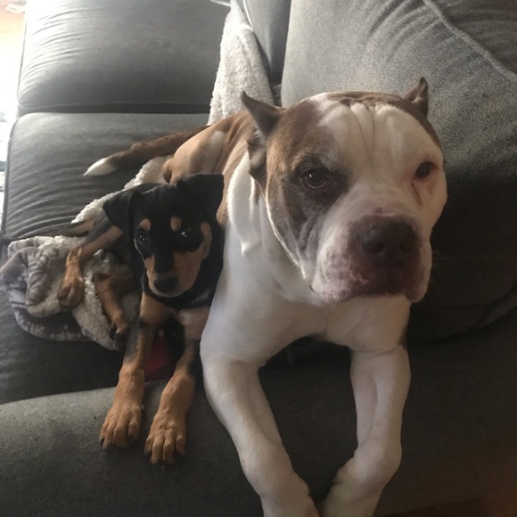 Meet your Posher, Carol - Picture 8 of 12